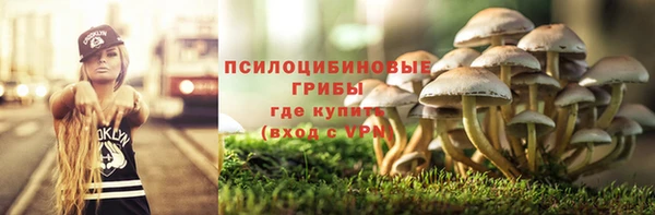 дурь Михайловск