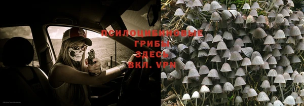 дурь Михайловск