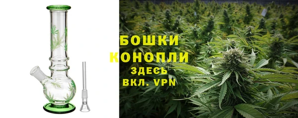 дурь Михайловск